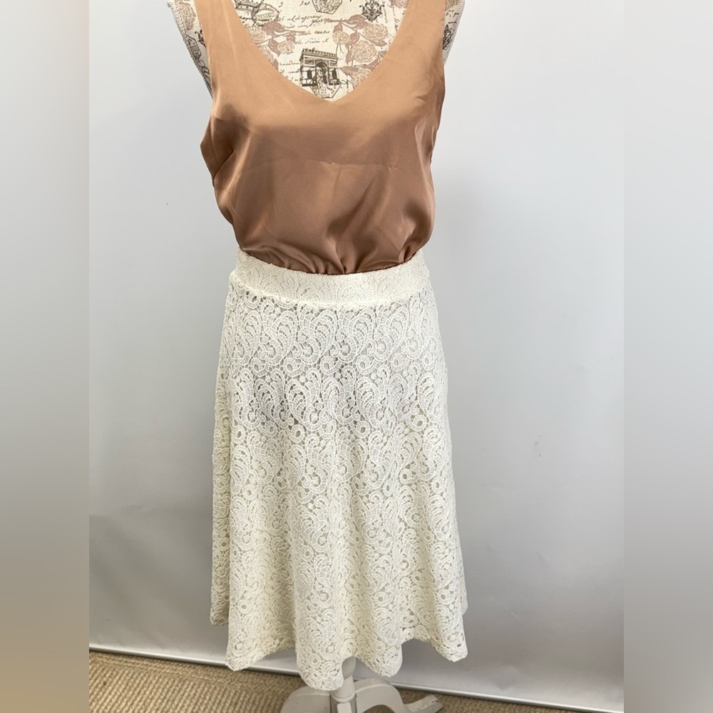 MASSIMO DUTTI Winter white Lace A-Line Skirt size 8 - Picture 11 of 15